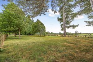 Photo 31- click for photo gallery